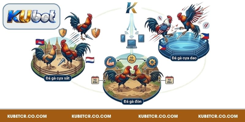 Đá Gà Kubet – Đỉnh Cao Giải Trí Với Trận Đấu Nghẹt Thở 2026 3 Các hình thức đá gà nổi bật tại Kubet